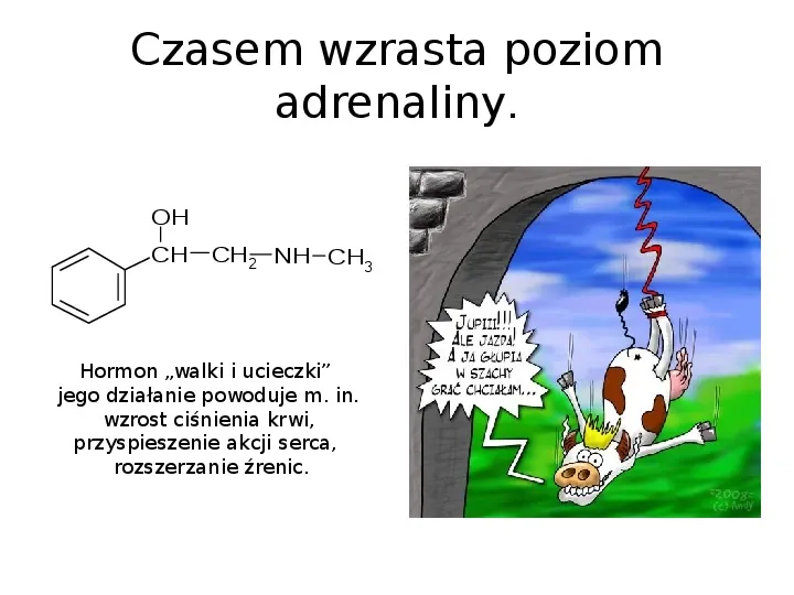Chemia z życiu codziennym - Slide 17