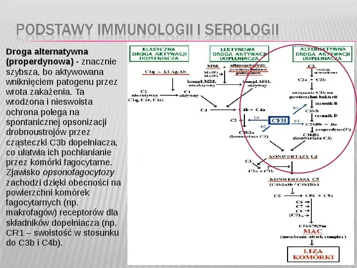 Podstawy immunologii i serologii - Slide 16