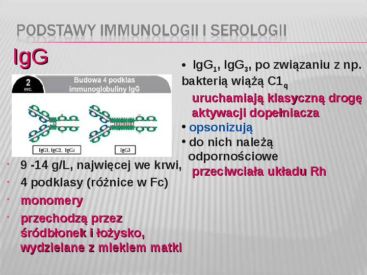 Podstawy immunologii i serologii - Slide 20
