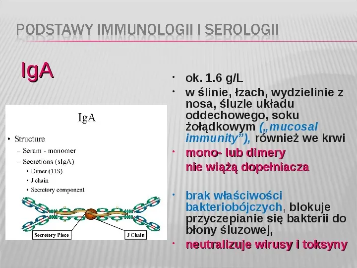 Podstawy immunologii i serologii - Slide 21