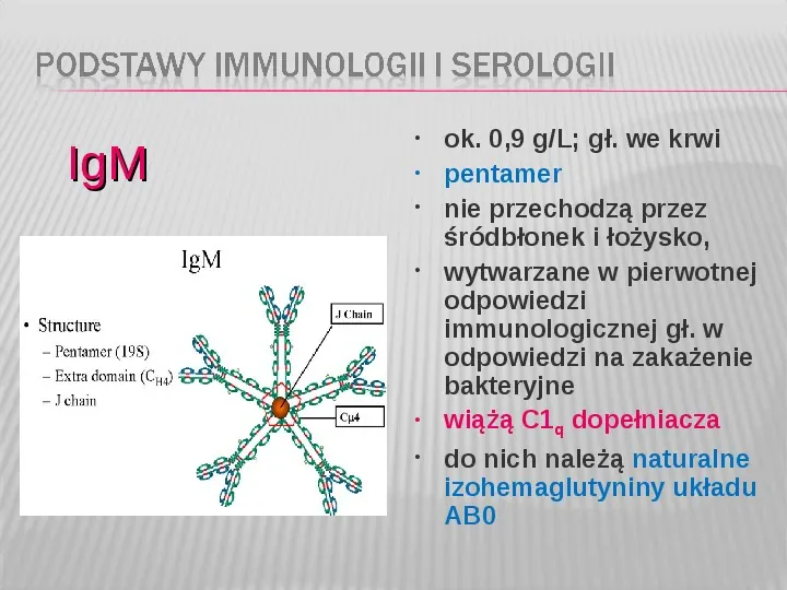 Podstawy immunologii i serologii - Slide 22