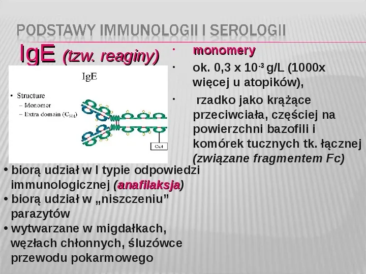 Podstawy immunologii i serologii - Slide 23