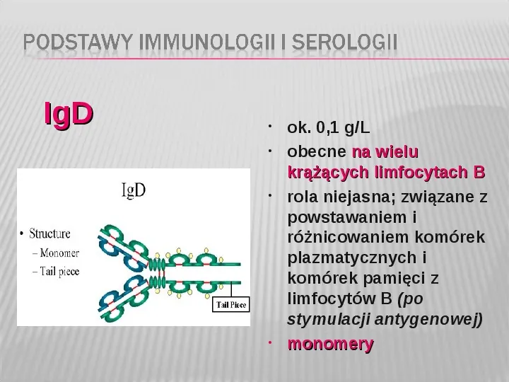 Podstawy immunologii i serologii - Slide 24