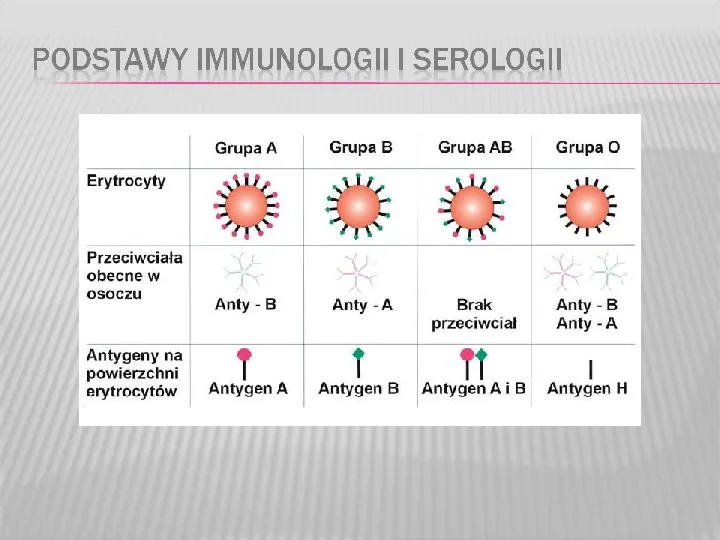 Podstawy immunologii i serologii - Slide 33
