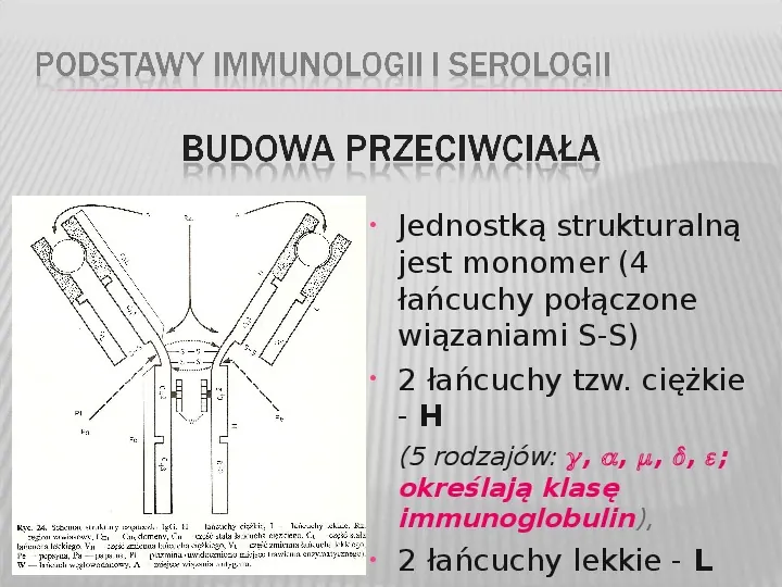 Podstawy immunologii i serologii - Slide 8