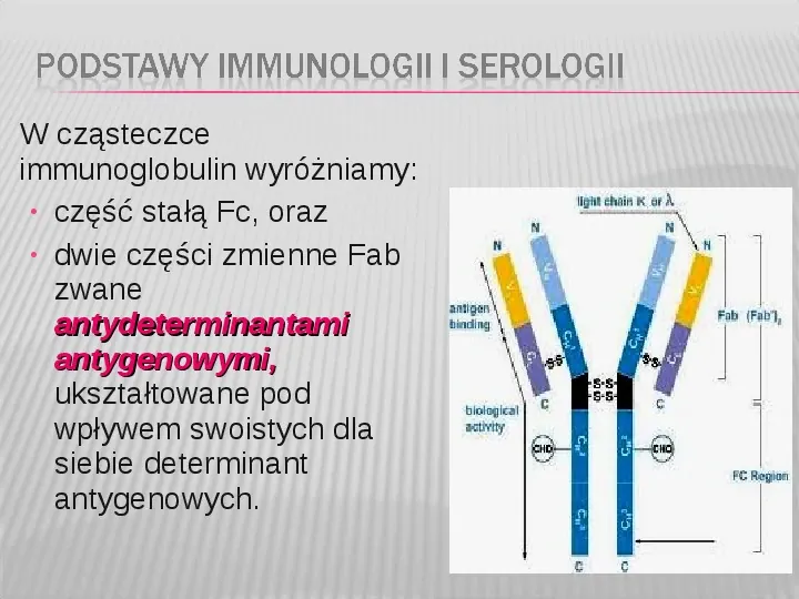 Podstawy immunologii i serologii - Slide 9