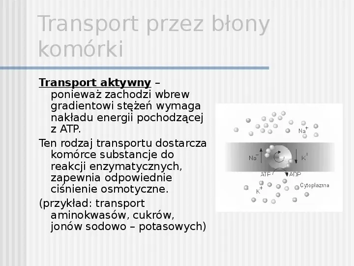 Transport przez błony komórki - Slide 10