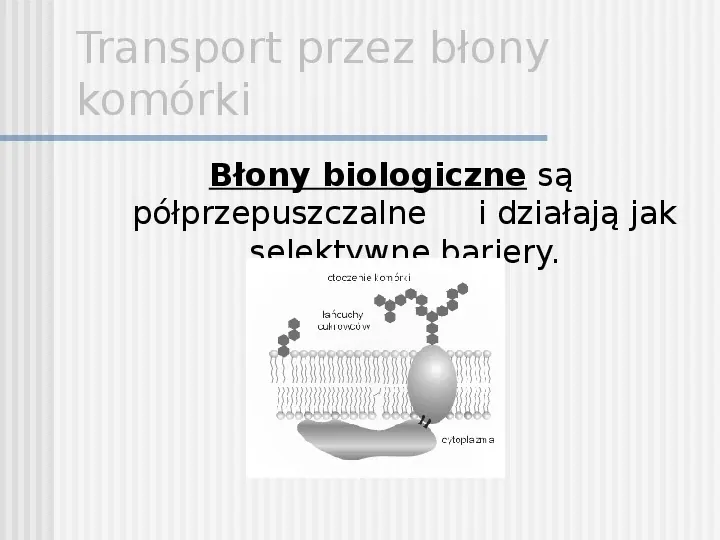 Transport przez błony komórki - Slide 3