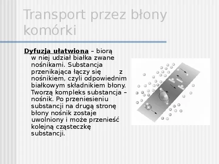 Transport przez błony komórki - Slide 8