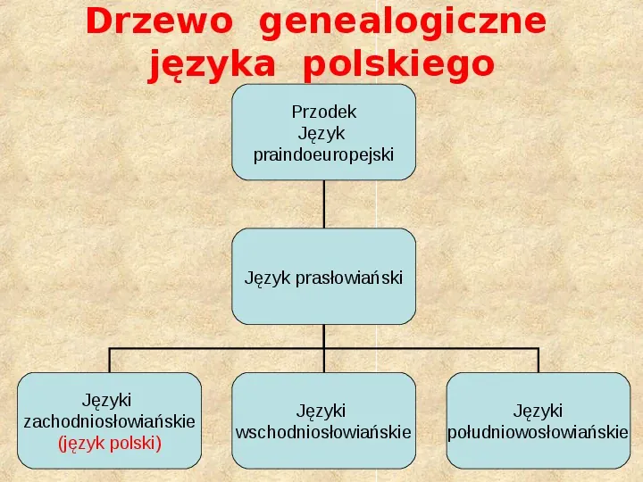 Historia Języka Polskiego - Slide 9