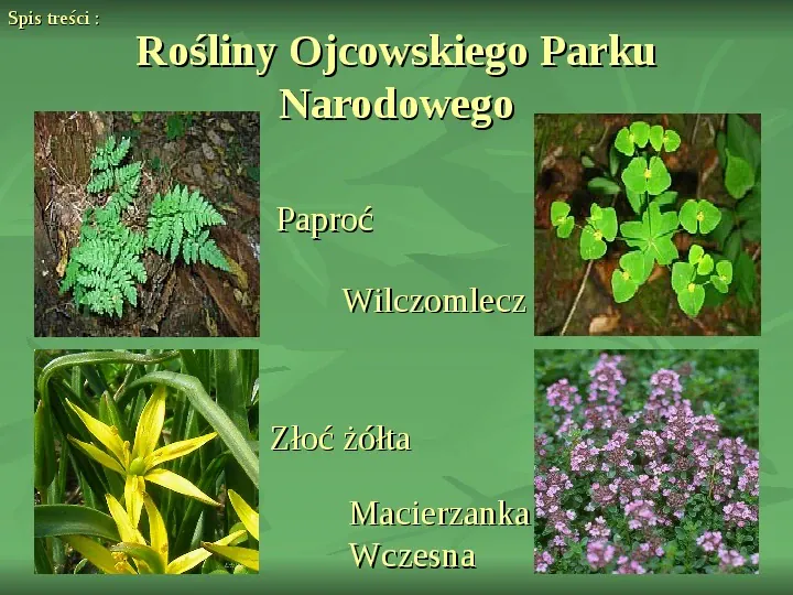 Ojcowski Park Narodowy - Slide 9
