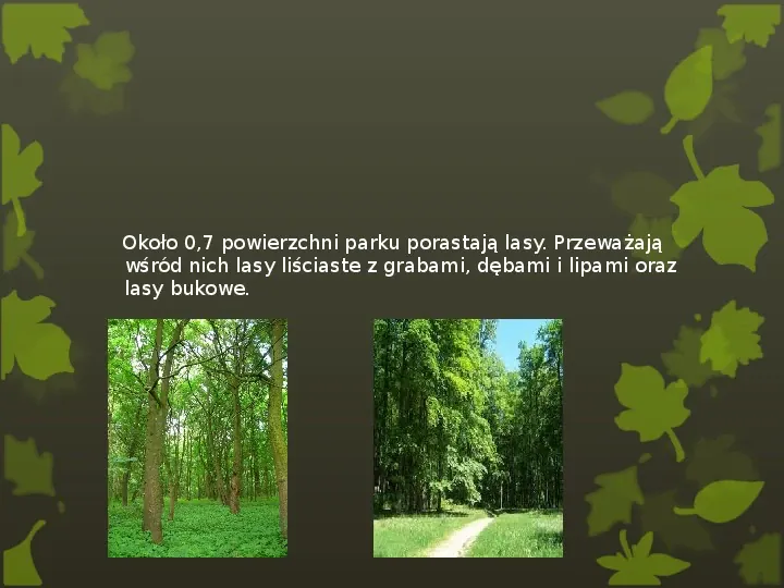 Ojcowski Park Narodowy - Slide 7