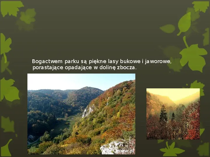Ojcowski Park Narodowy - Slide 8