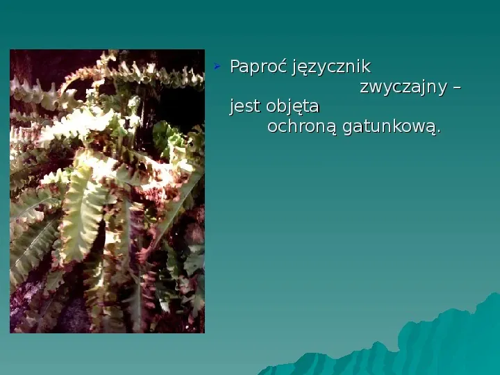 Ojcowski Park Narodowy - Slide 14