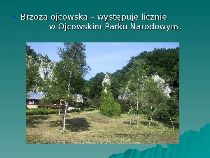 Ojcowski Park Narodowy - Slide 15