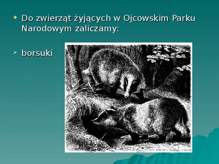 Ojcowski Park Narodowy - Slide 21