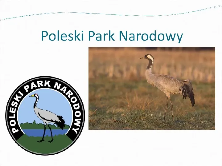 Symbole parków narodowych - Slide 13