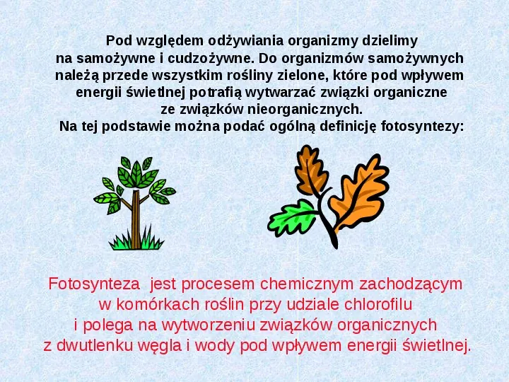 Fotosynteza jako przykład anabolizmu organizmów samożywnych - Slide 2