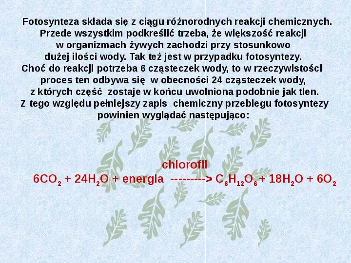 Fotosynteza jako przykład anabolizmu organizmów samożywnych - Slide 4