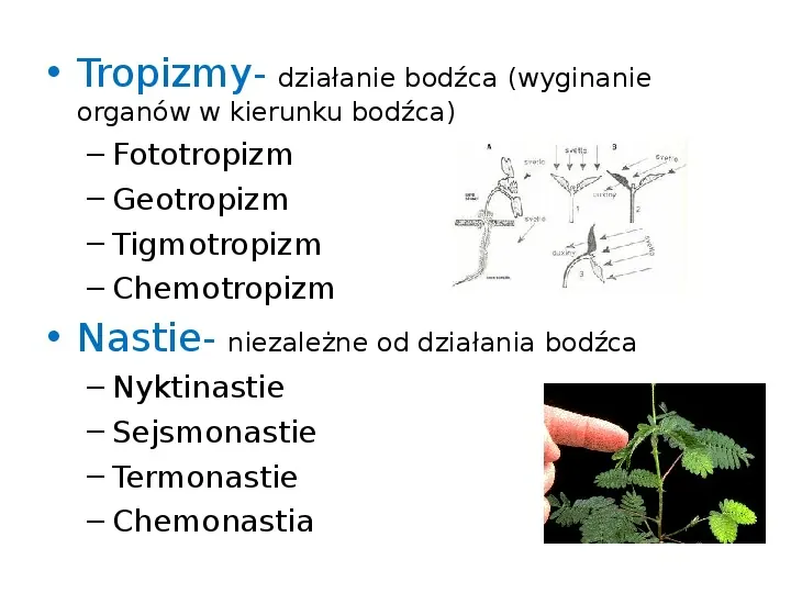 Fizjologia roślin - Slide 46