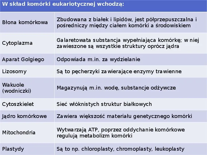 Komórka - podtawowy element życia - Slide 10