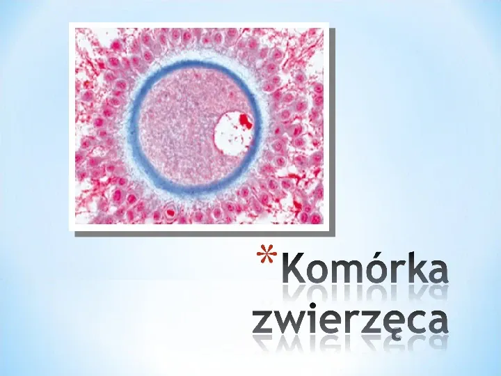 Komórka - podtawowy element życia - Slide 11