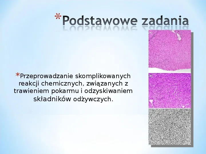 Komórka - podtawowy element życia - Slide 18