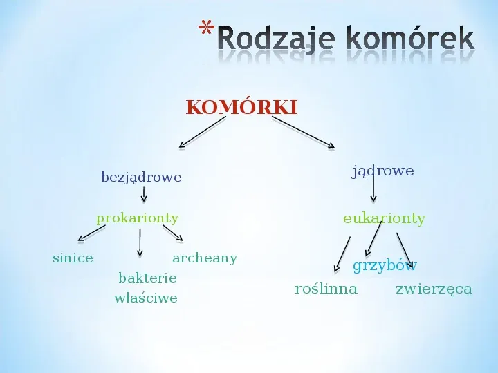 Komórka - podtawowy element życia - Slide 2