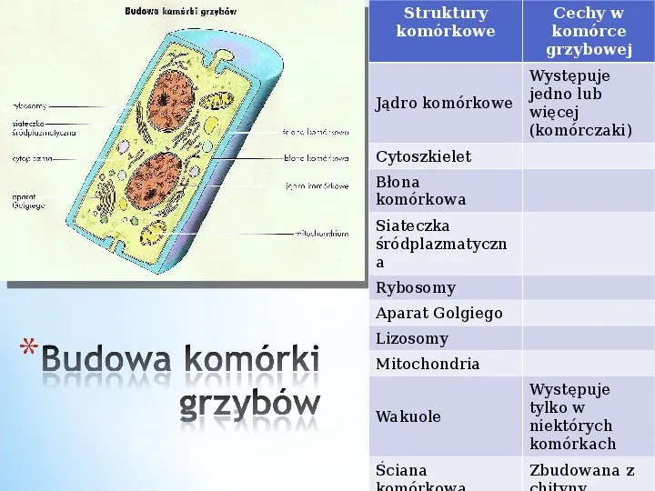 Komórka - podtawowy element życia - Slide 21