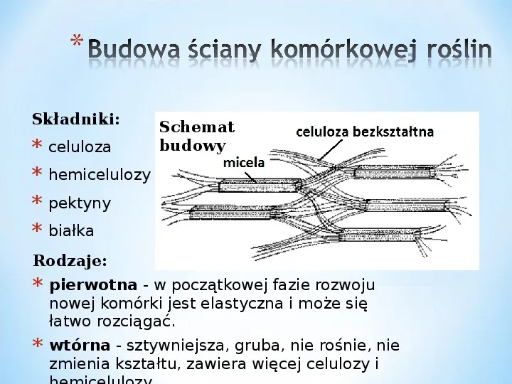 Komórka - podtawowy element życia - Slide 28