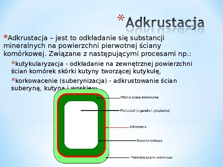 Komórka - podtawowy element życia - Slide 31