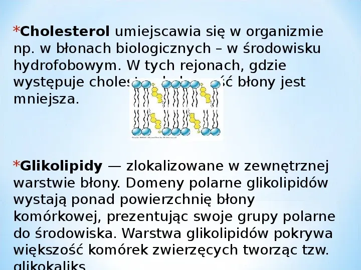 Komórka - podtawowy element życia - Slide 38