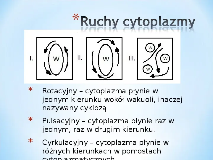 Komórka - podtawowy element życia - Slide 45