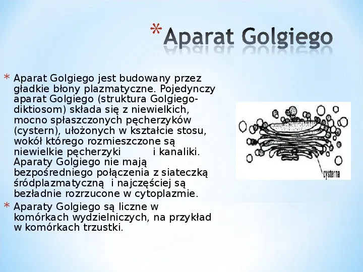 Komórka - podtawowy element życia - Slide 60