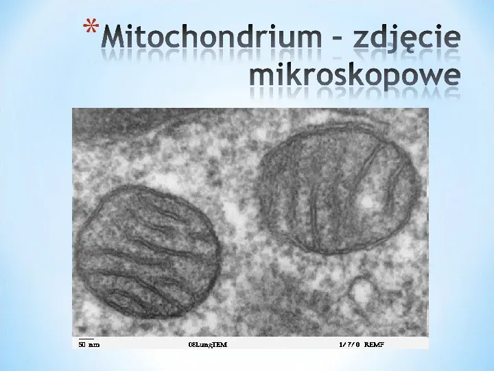 Komórka - podtawowy element życia - Slide 69