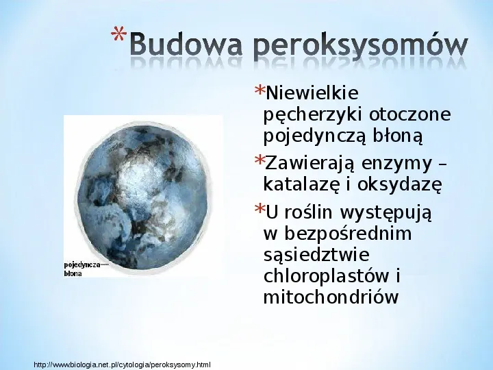 Komórka - podtawowy element życia - Slide 79