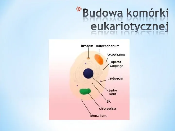 Komórka - podtawowy element życia - Slide 9