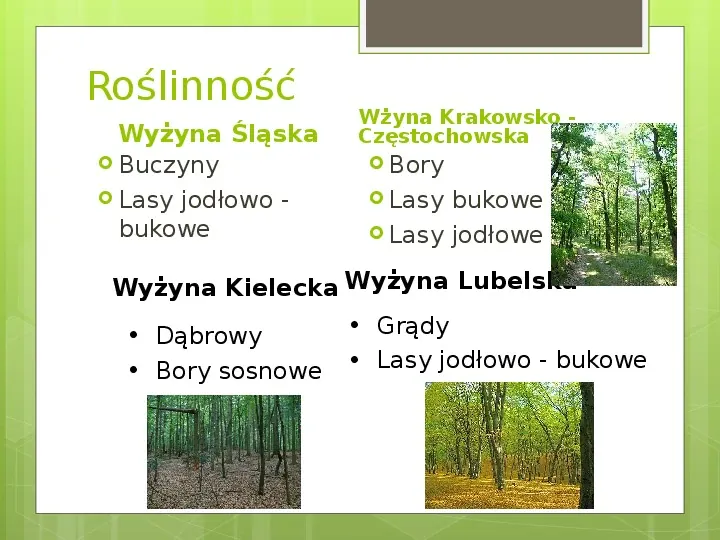 Wyżyny w Polsce - Slide 15
