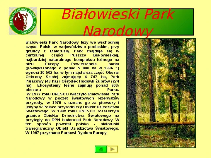 Ochrona przyrody w Polsce oraz zagrożenia związen z jej niszczeniem - Slide 15