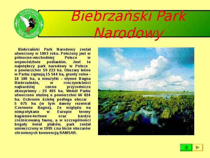 Ochrona przyrody w Polsce oraz zagrożenia związen z jej niszczeniem - Slide 16