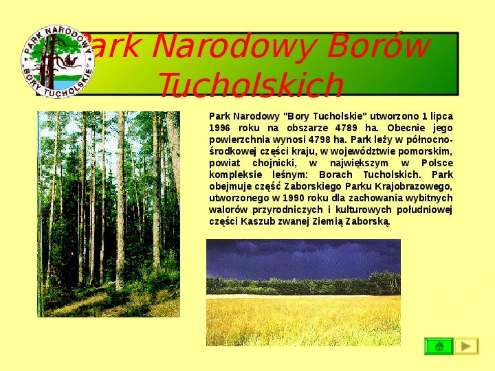 Ochrona przyrody w Polsce oraz zagrożenia związen z jej niszczeniem - Slide 18