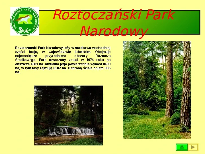 Ochrona przyrody w Polsce oraz zagrożenia związen z jej niszczeniem - Slide 29