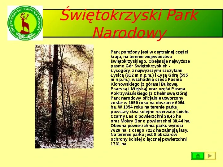 Ochrona przyrody w Polsce oraz zagrożenia związen z jej niszczeniem - Slide 31