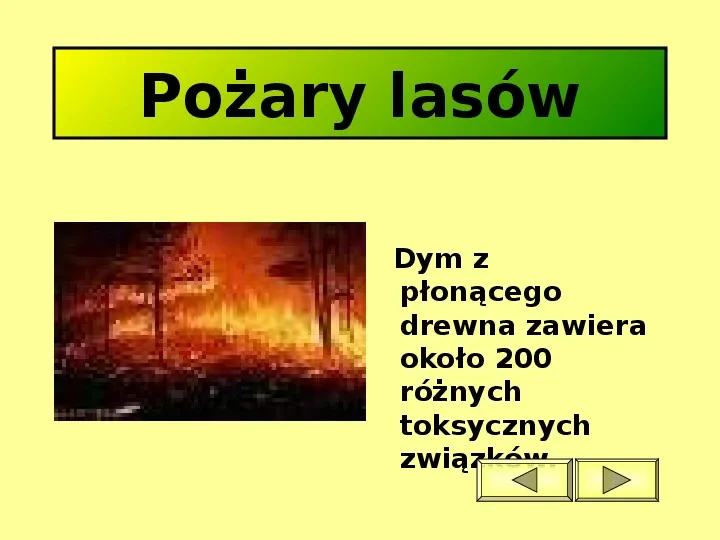 Ochrona przyrody w Polsce oraz zagrożenia związen z jej niszczeniem - Slide 4