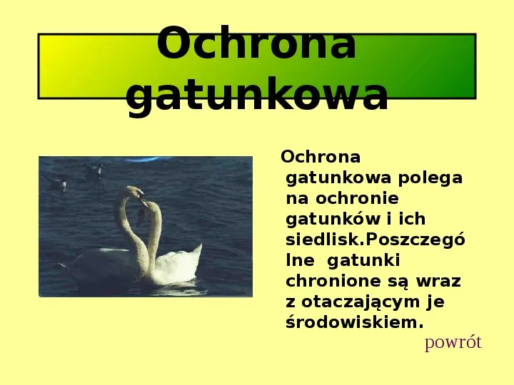 Ochrona przyrody w Polsce oraz zagrożenia związen z jej niszczeniem - Slide 8