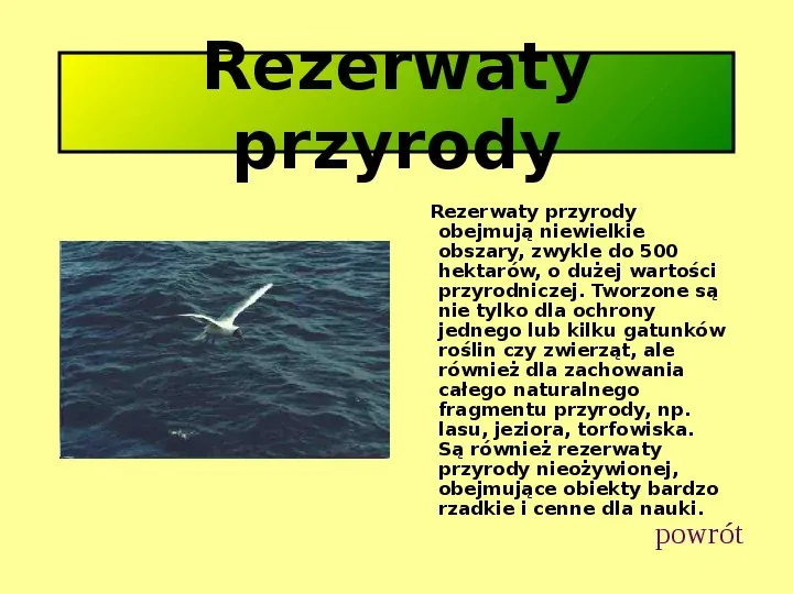 Ochrona przyrody w Polsce oraz zagrożenia związen z jej niszczeniem - Slide 9