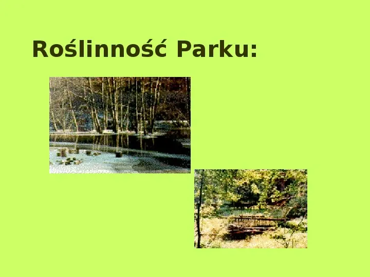 Najważniejsze Parki Narodowe w Polsce i na Świecie - Slide 14