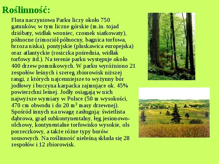 Najważniejsze Parki Narodowe w Polsce i na Świecie - Slide 24