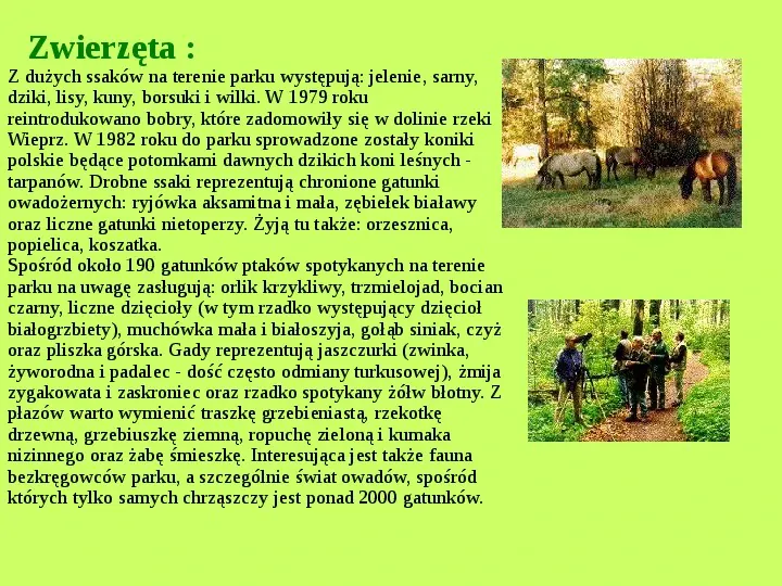 Najważniejsze Parki Narodowe w Polsce i na Świecie - Slide 25