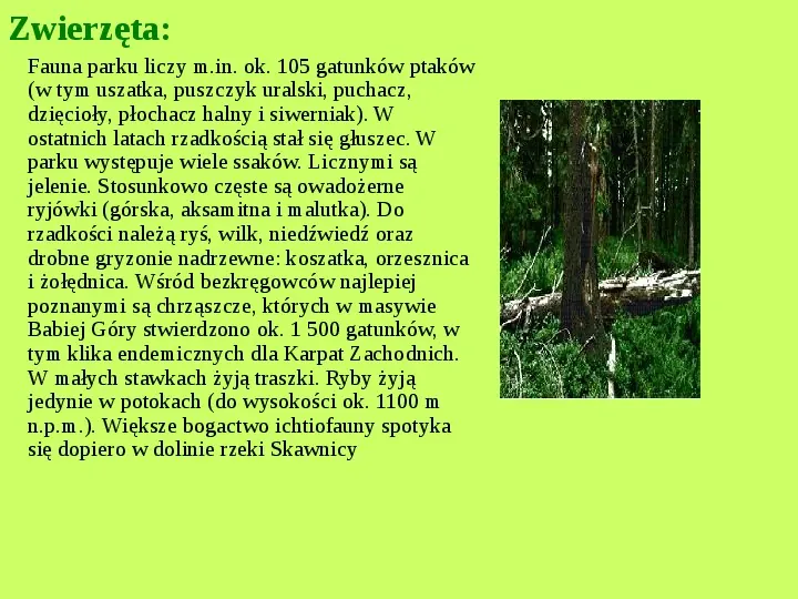 Najważniejsze Parki Narodowe w Polsce i na Świecie - Slide 28